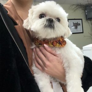 Meet your Posher, Stacy